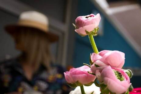 Chalet de l'Isère Hôtel de charme à Cannes